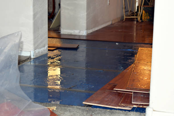 Professional Flood Damage Repair technician working in Florence, TX